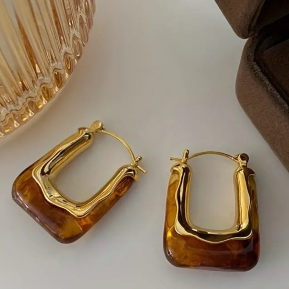 Gold plated coffee coloured resin Hoop earrings - Picture 1 of 1